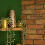 Apartman Private Baltic & Art Dziwnów