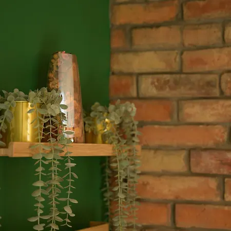 公寓 Private Baltic & Art Dziwnów